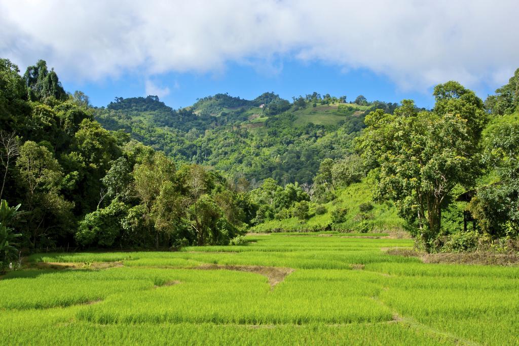 Hmong Hilltribe Lodge Mae Rim Εξωτερικό φωτογραφία