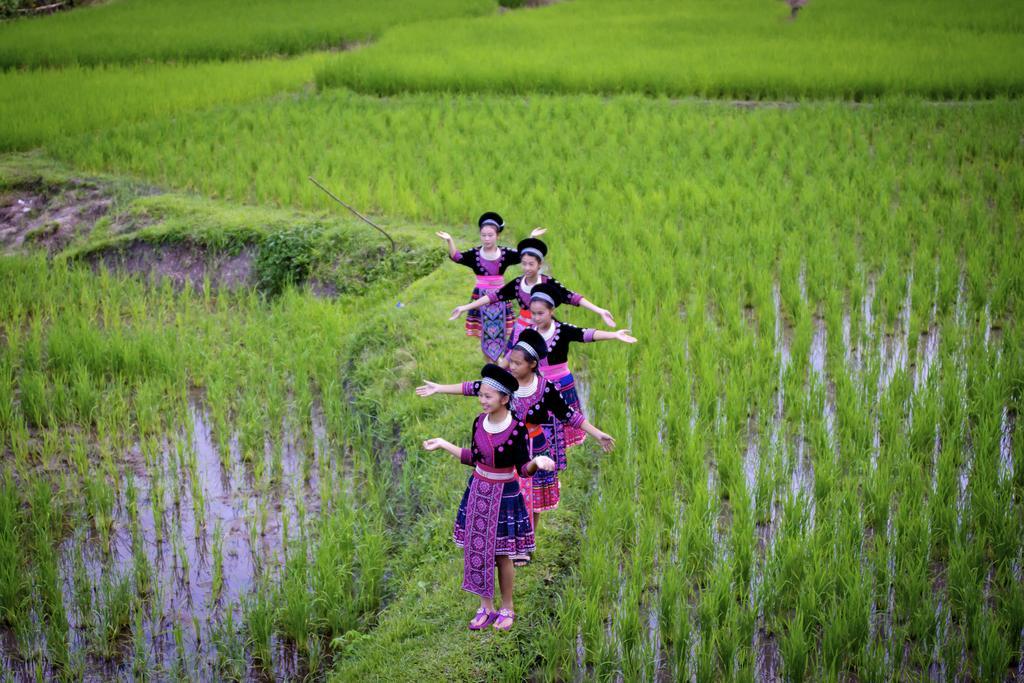 Hmong Hilltribe Lodge Mae Rim Εξωτερικό φωτογραφία