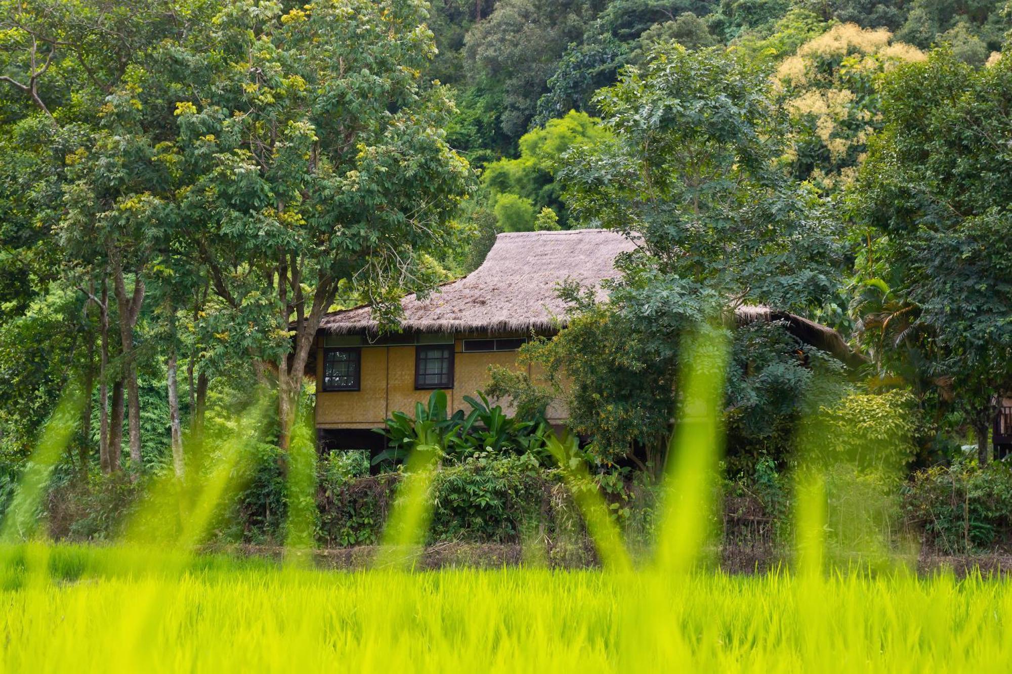 Hmong Hilltribe Lodge Mae Rim Εξωτερικό φωτογραφία